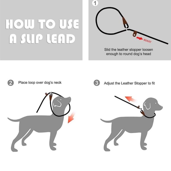 Dog Loop Collar Leash slip on heavy duty rope material - Picture 3 of 3